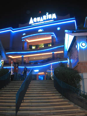 downtown aquarium in houston texas