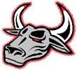 Visit Toros Website